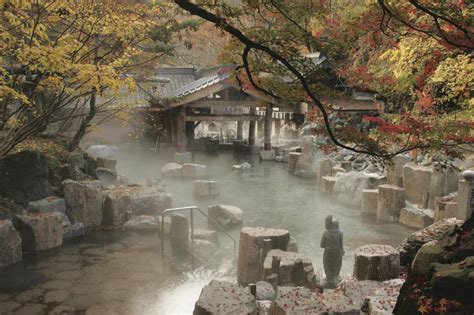 日帰り温泉 部屋付き - なぜカエルは温泉で歌を歌うのか？