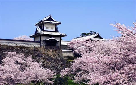 京都 金沢 バス：時間と空間を超える旅の物語